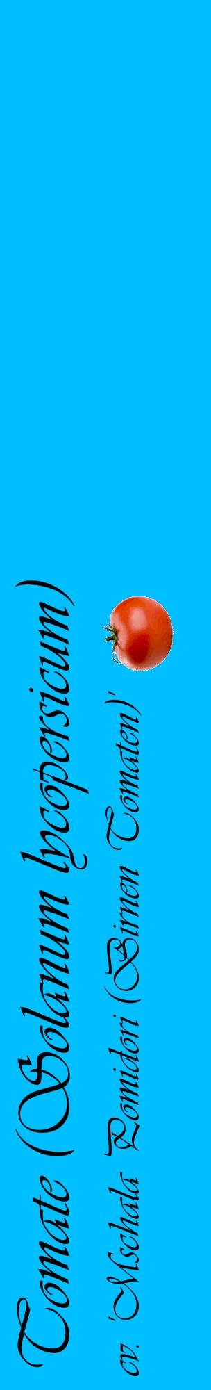 Étiquette de : Solanum lycopersicum cv. 'Mschala Pomidori (Birnen Tomaten)' - format c - style noire2_basiqueviv avec comestibilité simplifiée