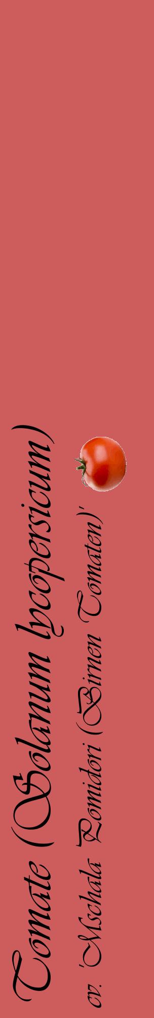 Étiquette de : Solanum lycopersicum cv. 'Mschala Pomidori (Birnen Tomaten)' - format c - style noire35_basiqueviv avec comestibilité simplifiée