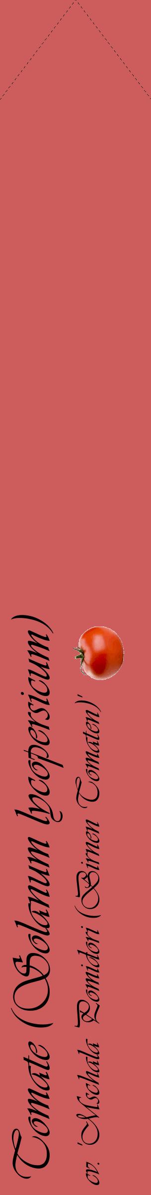 Étiquette de : Solanum lycopersicum cv. 'Mschala Pomidori (Birnen Tomaten)' - format c - style noire35_simpleviv avec comestibilité simplifiée