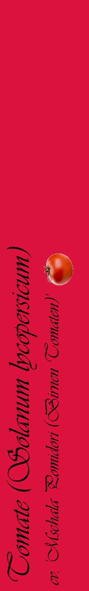 Étiquette de : Solanum lycopersicum cv. 'Mschala Pomidori (Birnen Tomaten)' - format c - style noire36_basiqueviv avec comestibilité simplifiée