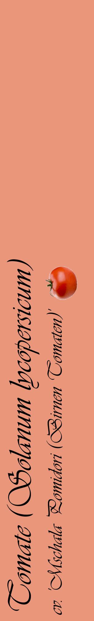 Étiquette de : Solanum lycopersicum cv. 'Mschala Pomidori (Birnen Tomaten)' - format c - style noire37_basiqueviv avec comestibilité simplifiée