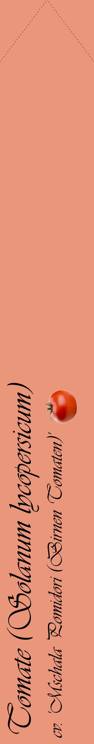 Étiquette de : Solanum lycopersicum cv. 'Mschala Pomidori (Birnen Tomaten)' - format c - style noire37_simpleviv avec comestibilité simplifiée