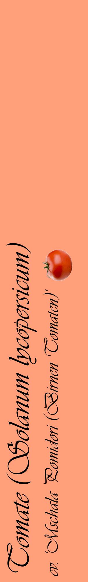 Étiquette de : Solanum lycopersicum cv. 'Mschala Pomidori (Birnen Tomaten)' - format c - style noire39_basiqueviv avec comestibilité simplifiée