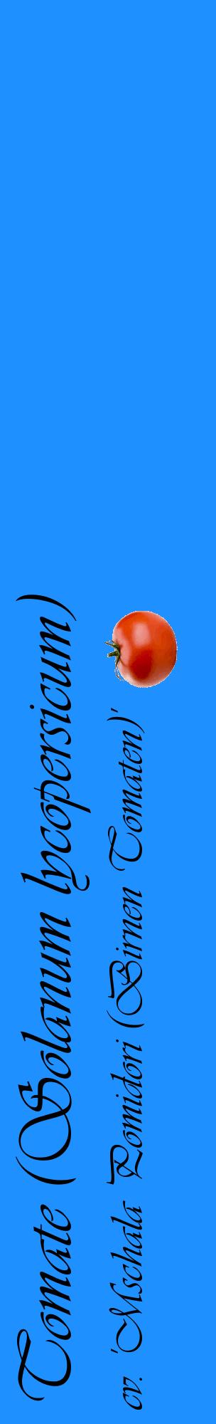 Étiquette de : Solanum lycopersicum cv. 'Mschala Pomidori (Birnen Tomaten)' - format c - style noire3_basiqueviv avec comestibilité simplifiée