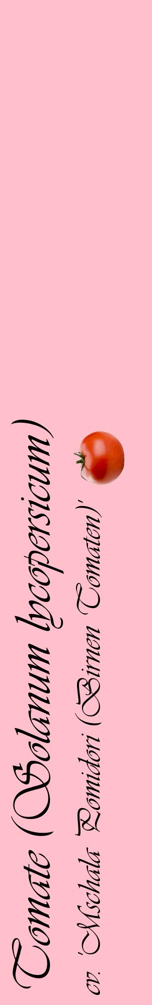 Étiquette de : Solanum lycopersicum cv. 'Mschala Pomidori (Birnen Tomaten)' - format c - style noire40_basiqueviv avec comestibilité simplifiée