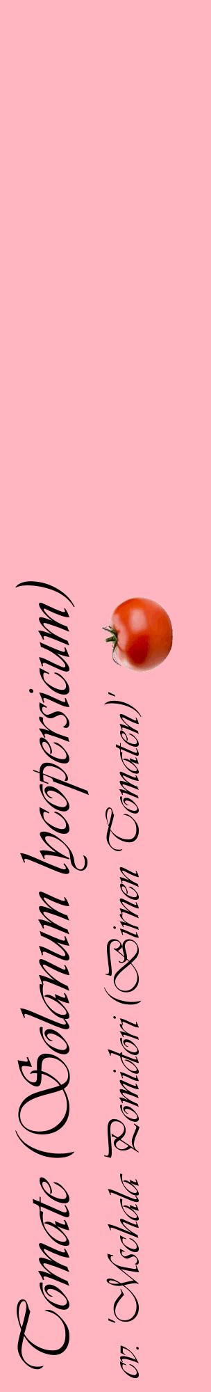 Étiquette de : Solanum lycopersicum cv. 'Mschala Pomidori (Birnen Tomaten)' - format c - style noire41_basiqueviv avec comestibilité simplifiée