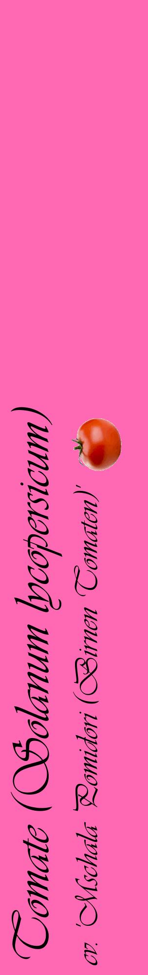 Étiquette de : Solanum lycopersicum cv. 'Mschala Pomidori (Birnen Tomaten)' - format c - style noire42_basiqueviv avec comestibilité simplifiée