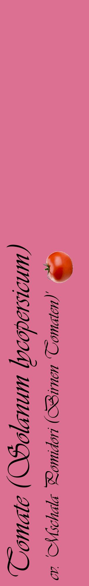 Étiquette de : Solanum lycopersicum cv. 'Mschala Pomidori (Birnen Tomaten)' - format c - style noire44_basiqueviv avec comestibilité simplifiée