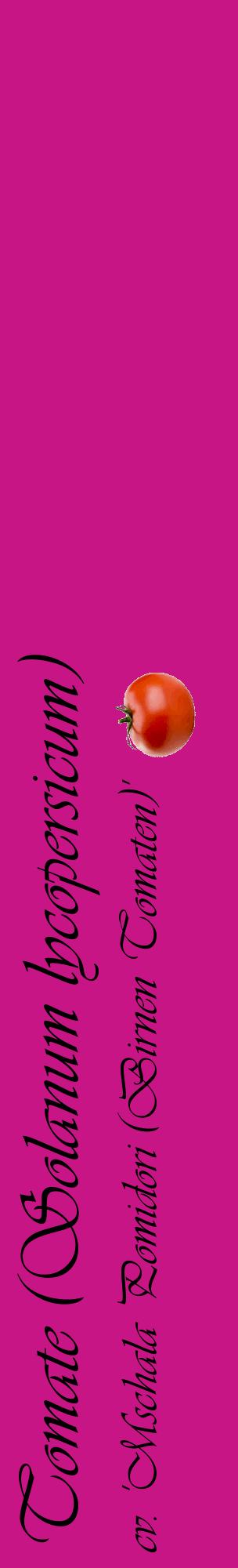 Étiquette de : Solanum lycopersicum cv. 'Mschala Pomidori (Birnen Tomaten)' - format c - style noire45_basiqueviv avec comestibilité simplifiée