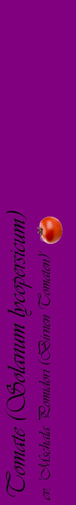 Étiquette de : Solanum lycopersicum cv. 'Mschala Pomidori (Birnen Tomaten)' - format c - style noire46_basiqueviv avec comestibilité simplifiée