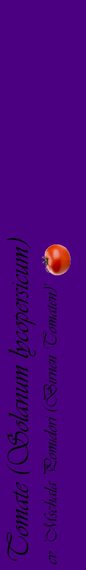 Étiquette de : Solanum lycopersicum cv. 'Mschala Pomidori (Birnen Tomaten)' - format c - style noire47_basiqueviv avec comestibilité simplifiée