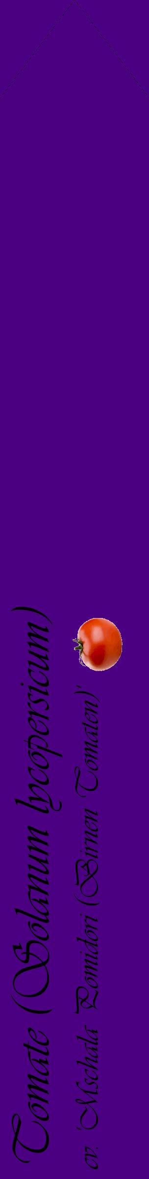 Étiquette de : Solanum lycopersicum cv. 'Mschala Pomidori (Birnen Tomaten)' - format c - style noire47_simpleviv avec comestibilité simplifiée