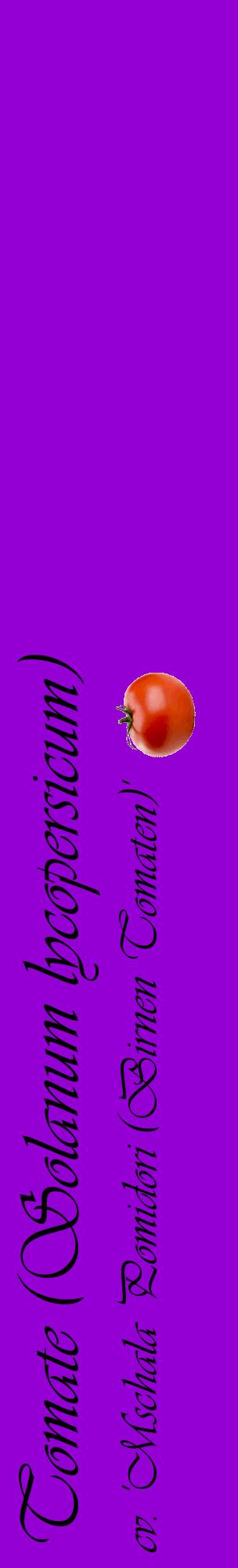 Étiquette de : Solanum lycopersicum cv. 'Mschala Pomidori (Birnen Tomaten)' - format c - style noire48_basiqueviv avec comestibilité simplifiée
