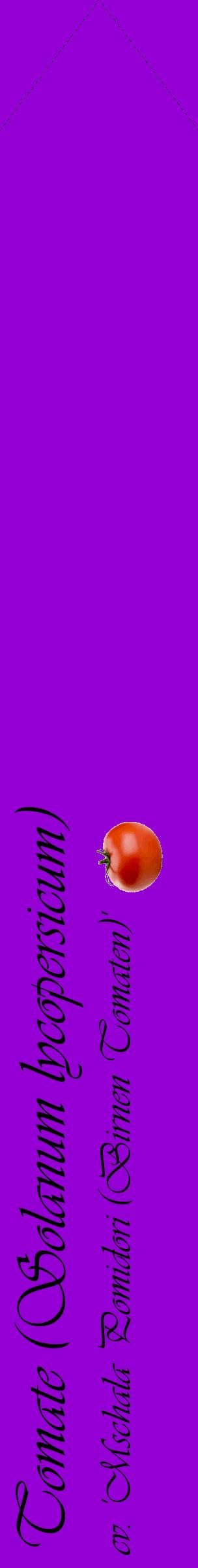 Étiquette de : Solanum lycopersicum cv. 'Mschala Pomidori (Birnen Tomaten)' - format c - style noire48_simpleviv avec comestibilité simplifiée