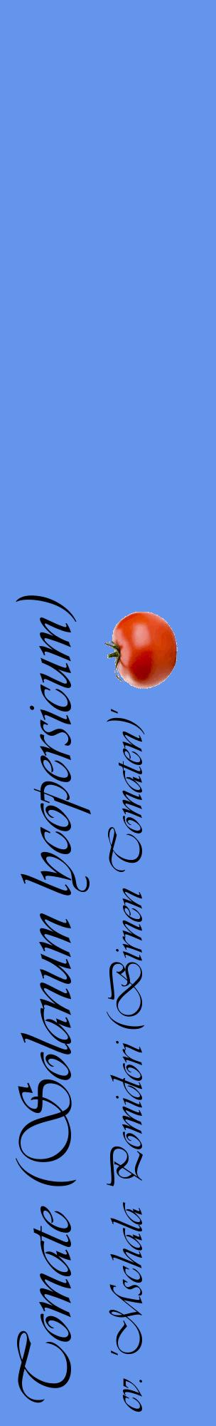 Étiquette de : Solanum lycopersicum cv. 'Mschala Pomidori (Birnen Tomaten)' - format c - style noire4_basiqueviv avec comestibilité simplifiée