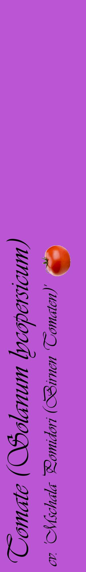 Étiquette de : Solanum lycopersicum cv. 'Mschala Pomidori (Birnen Tomaten)' - format c - style noire50_basiqueviv avec comestibilité simplifiée