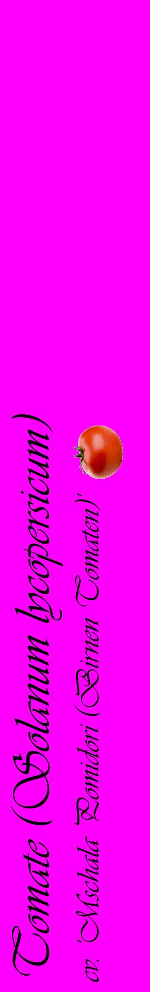 Étiquette de : Solanum lycopersicum cv. 'Mschala Pomidori (Birnen Tomaten)' - format c - style noire51_basiqueviv avec comestibilité simplifiée