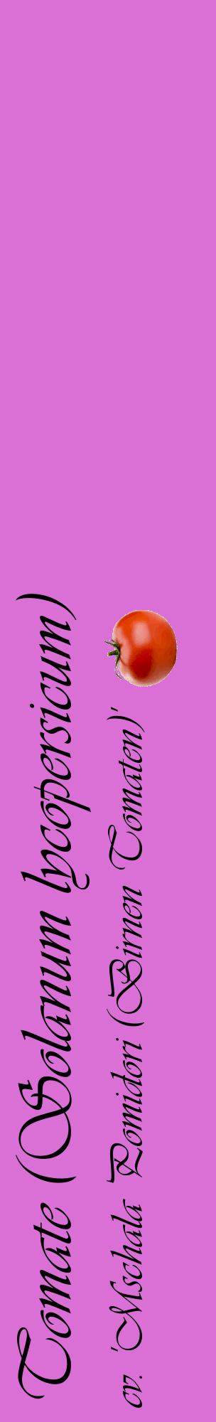 Étiquette de : Solanum lycopersicum cv. 'Mschala Pomidori (Birnen Tomaten)' - format c - style noire52_basiqueviv avec comestibilité simplifiée