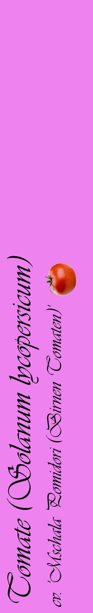 Étiquette de : Solanum lycopersicum cv. 'Mschala Pomidori (Birnen Tomaten)' - format c - style noire53_basiqueviv avec comestibilité simplifiée