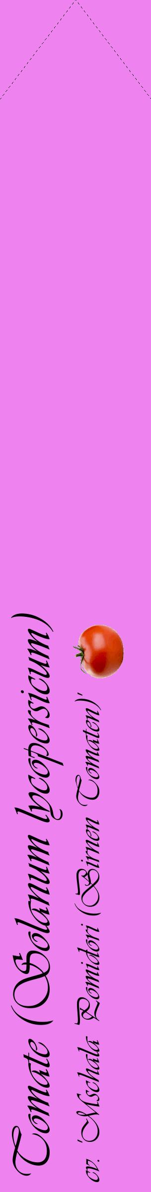 Étiquette de : Solanum lycopersicum cv. 'Mschala Pomidori (Birnen Tomaten)' - format c - style noire53_simpleviv avec comestibilité simplifiée