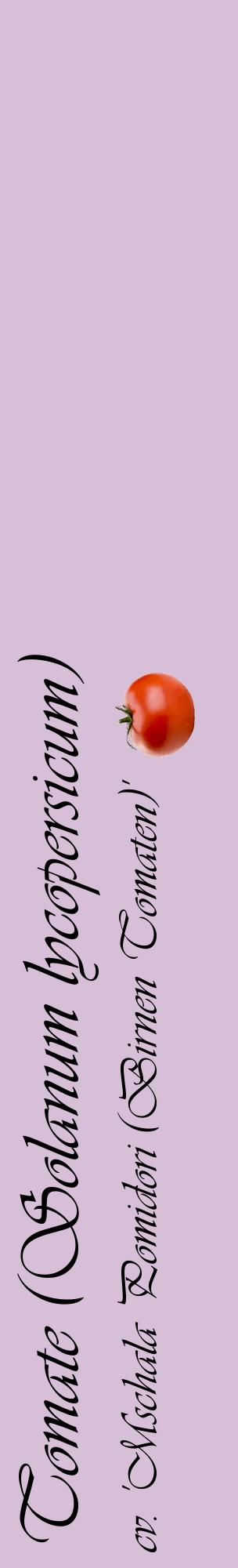 Étiquette de : Solanum lycopersicum cv. 'Mschala Pomidori (Birnen Tomaten)' - format c - style noire54basique_basique_basiqueviv avec comestibilité simplifiée - position verticale