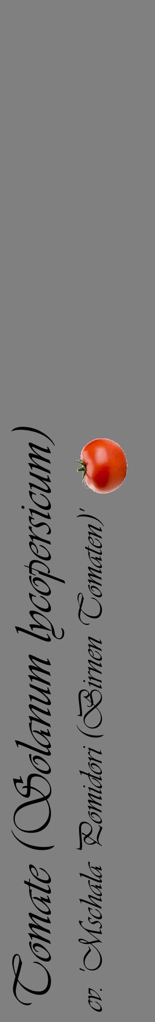 Étiquette de : Solanum lycopersicum cv. 'Mschala Pomidori (Birnen Tomaten)' - format c - style noire57_basiqueviv avec comestibilité simplifiée
