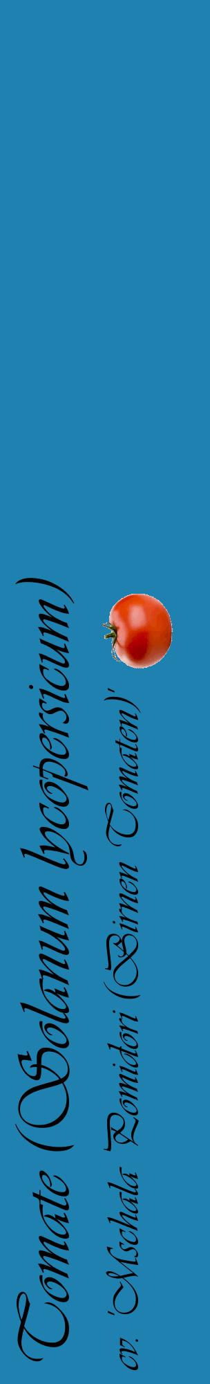Étiquette de : Solanum lycopersicum cv. 'Mschala Pomidori (Birnen Tomaten)' - format c - style noire6_basiqueviv avec comestibilité simplifiée
