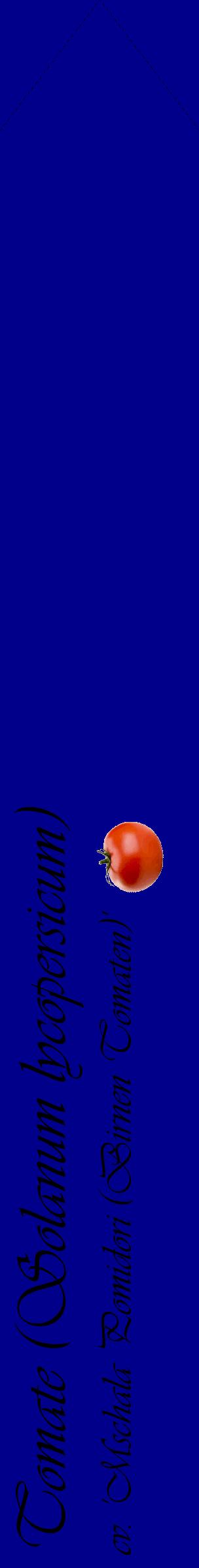 Étiquette de : Solanum lycopersicum cv. 'Mschala Pomidori (Birnen Tomaten)' - format c - style noire7_simpleviv avec comestibilité simplifiée