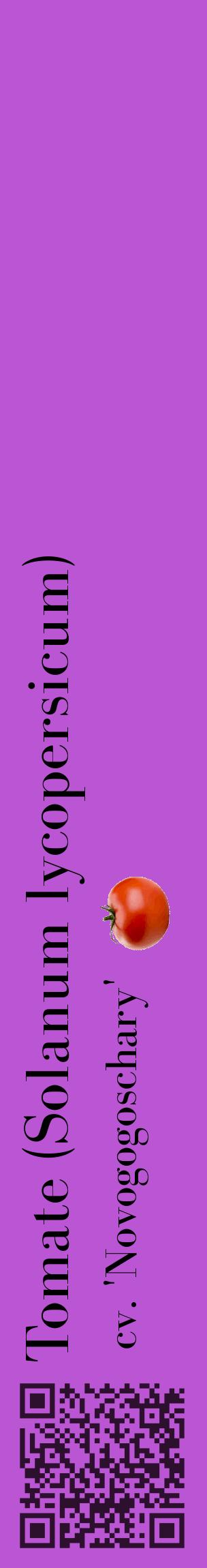 Étiquette de : Solanum lycopersicum cv. 'Novogogoschary' - format c - style noire50_basiquebod avec qrcode et comestibilité simplifiée