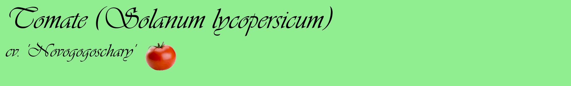 Étiquette de : Solanum lycopersicum cv. 'Novogogoschary' - format c - style noire15basique_basique_basiqueviv avec comestibilité simplifiée