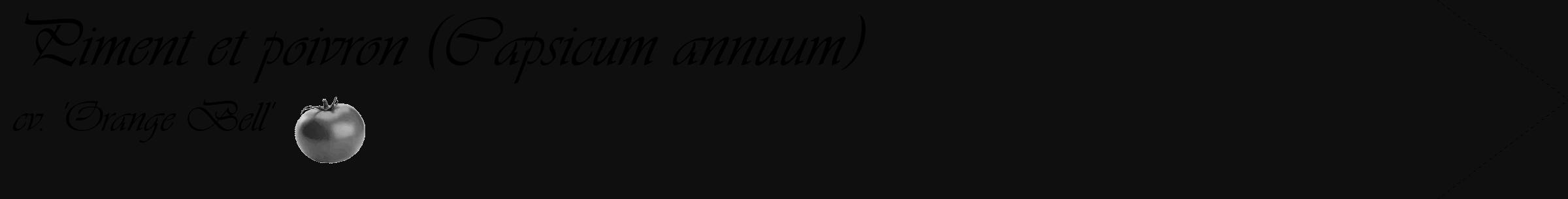 Étiquette de : Capsicum annuum cv. 'Orange Bell' - format c - style noire7_simple_simpleviv avec comestibilité simplifiée