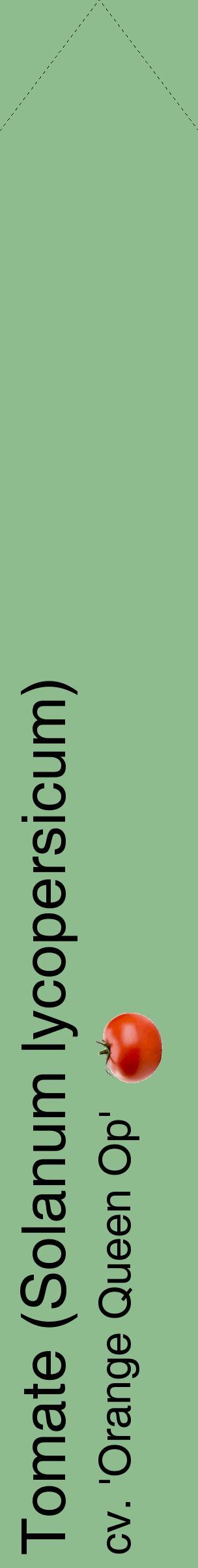 Étiquette de : Solanum lycopersicum cv. 'Orange Queen Op' - format c - style noire13_simplehel avec comestibilité simplifiée