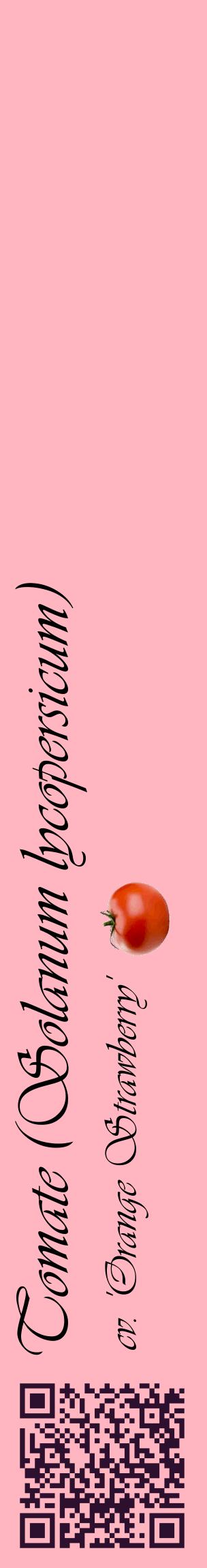 Étiquette de : Solanum lycopersicum cv. 'Orange Strawberry' - format c - style noire41basique_basique_basiqueviv avec qrcode et comestibilité simplifiée - position verticale