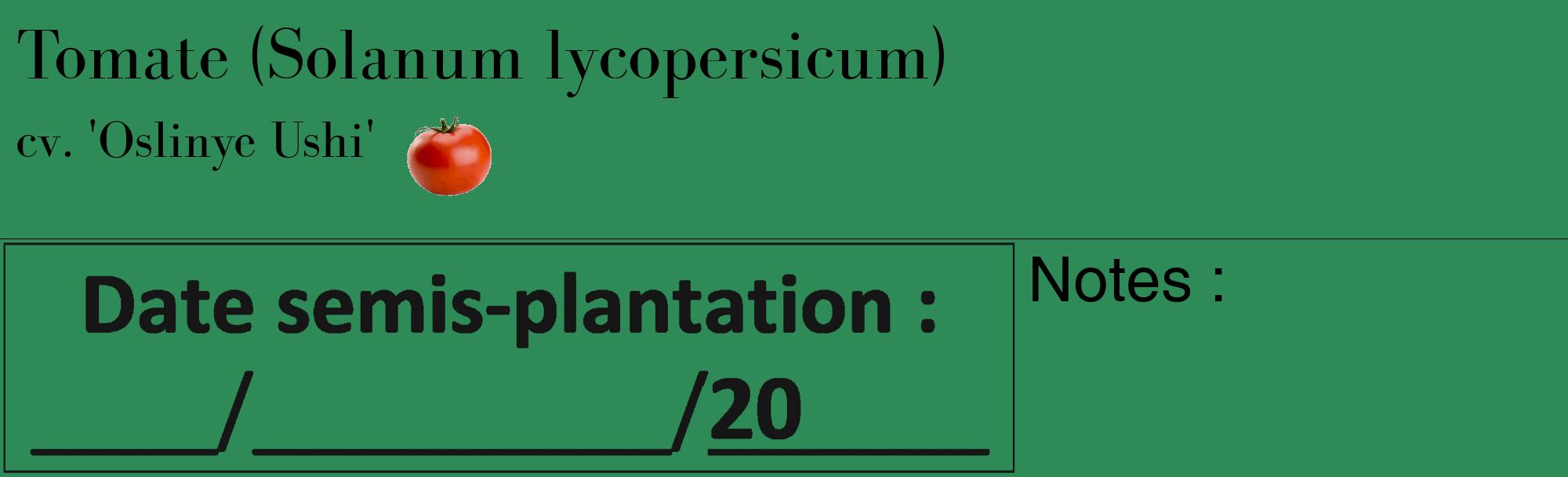 Étiquette de : Solanum lycopersicum cv. 'Oslinye Ushi' - format c - style noire11_basique_basiquebod avec comestibilité simplifiée