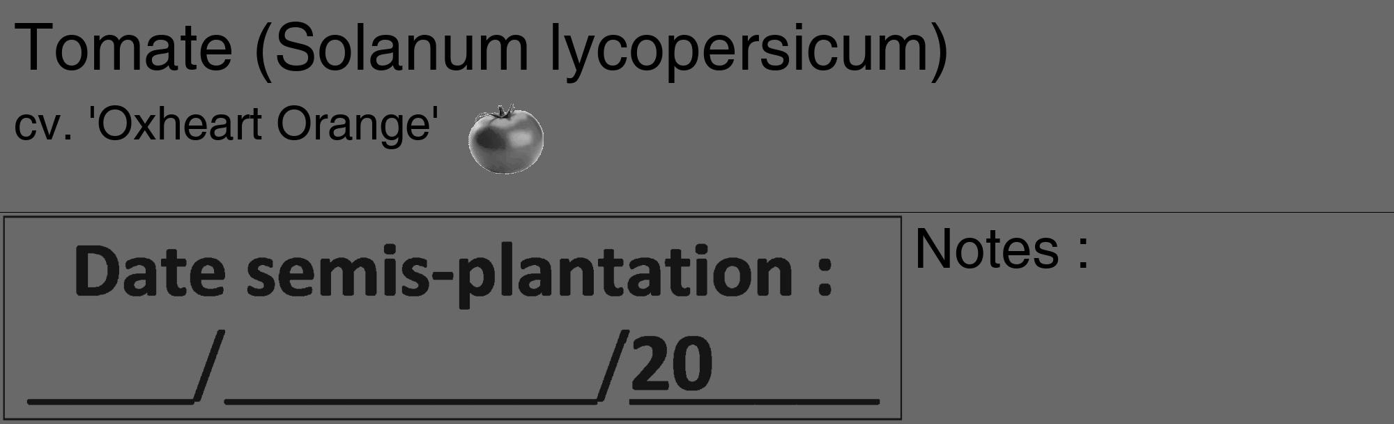 Étiquette de : Solanum lycopersicum cv. 'Oxheart Orange' - format c - style noire11_basique_basiquehel avec comestibilité simplifiée