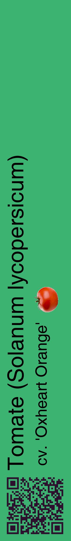 Étiquette de : Solanum lycopersicum cv. 'Oxheart Orange' - format c - style noire12_basiquehel avec qrcode et comestibilité simplifiée