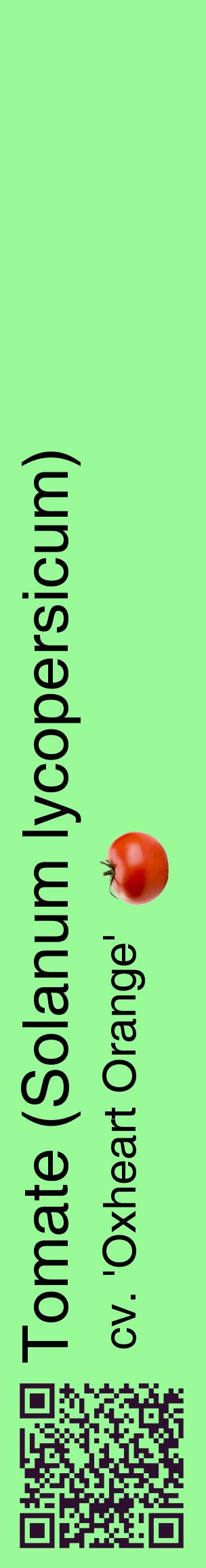 Étiquette de : Solanum lycopersicum cv. 'Oxheart Orange' - format c - style noire14_basiquehel avec qrcode et comestibilité simplifiée