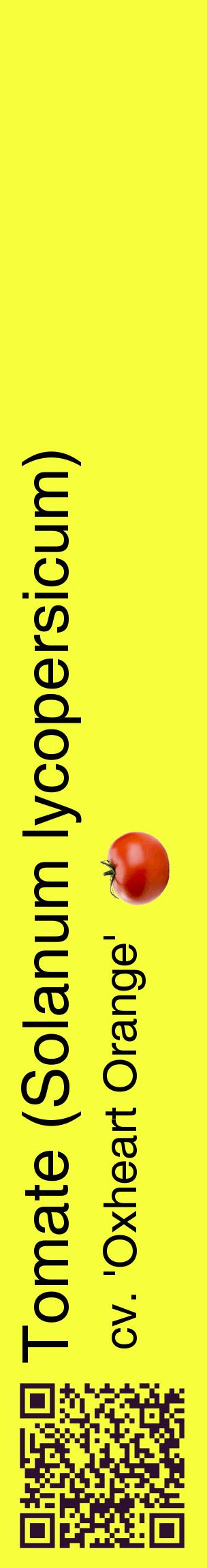 Étiquette de : Solanum lycopersicum cv. 'Oxheart Orange' - format c - style noire18_basiquehel avec qrcode et comestibilité simplifiée