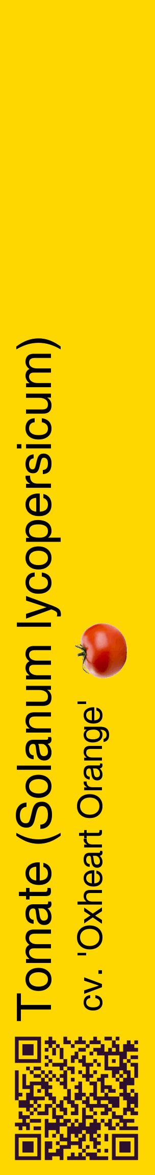 Étiquette de : Solanum lycopersicum cv. 'Oxheart Orange' - format c - style noire21_basiquehel avec qrcode et comestibilité simplifiée