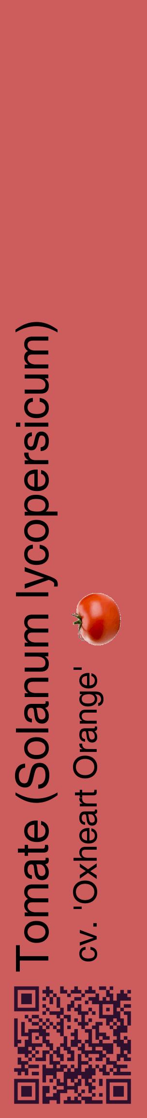 Étiquette de : Solanum lycopersicum cv. 'Oxheart Orange' - format c - style noire35_basiquehel avec qrcode et comestibilité simplifiée