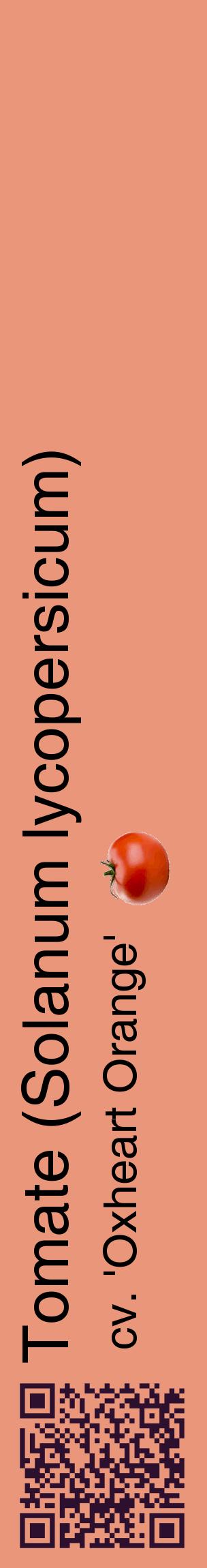 Étiquette de : Solanum lycopersicum cv. 'Oxheart Orange' - format c - style noire37_basiquehel avec qrcode et comestibilité simplifiée