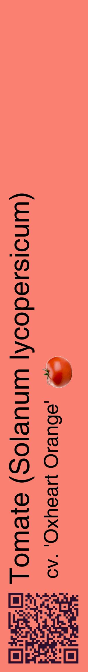 Étiquette de : Solanum lycopersicum cv. 'Oxheart Orange' - format c - style noire38_basiquehel avec qrcode et comestibilité simplifiée