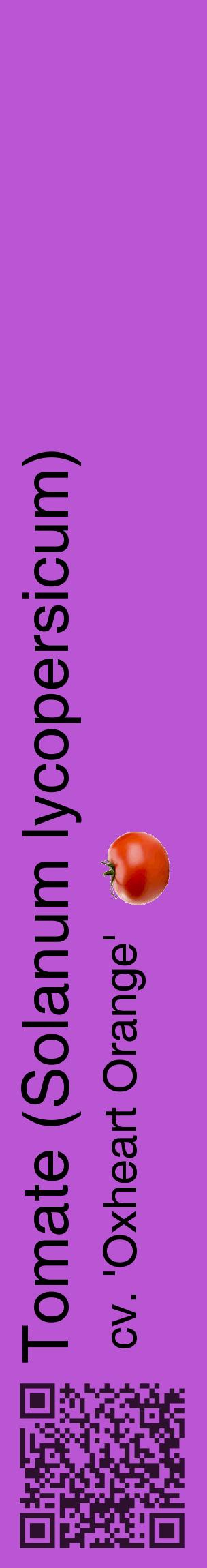 Étiquette de : Solanum lycopersicum cv. 'Oxheart Orange' - format c - style noire50_basiquehel avec qrcode et comestibilité simplifiée