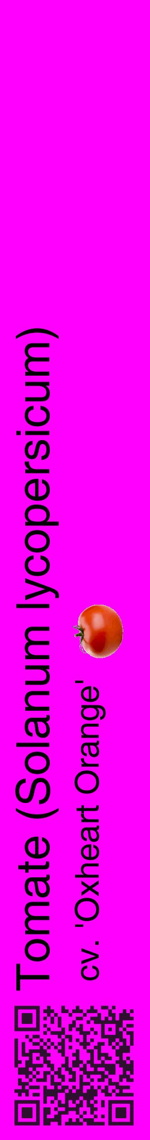 Étiquette de : Solanum lycopersicum cv. 'Oxheart Orange' - format c - style noire51_basiquehel avec qrcode et comestibilité simplifiée