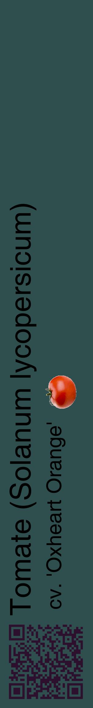 Étiquette de : Solanum lycopersicum cv. 'Oxheart Orange' - format c - style noire58_basiquehel avec qrcode et comestibilité simplifiée