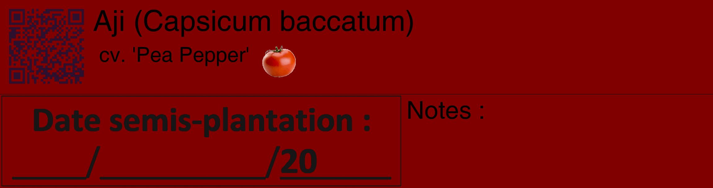 Étiquette de : Capsicum baccatum cv. 'Pea Pepper' - format c - style noire29_basique_basiquehel avec qrcode et comestibilité simplifiée