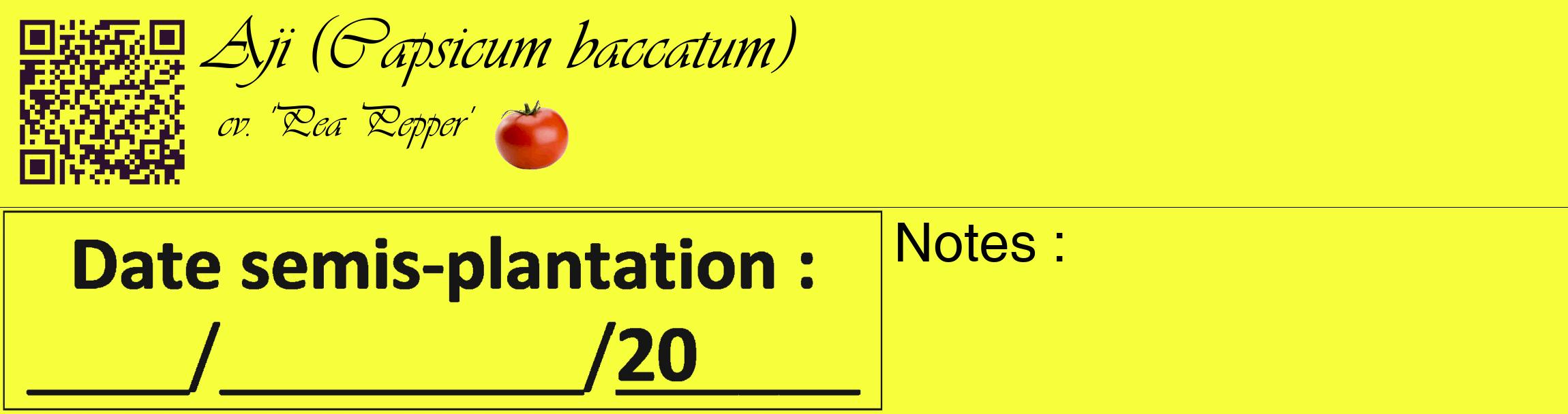 Étiquette de : Capsicum baccatum cv. 'Pea Pepper' - format c - style noire18_basique_basiqueviv avec qrcode et comestibilité simplifiée