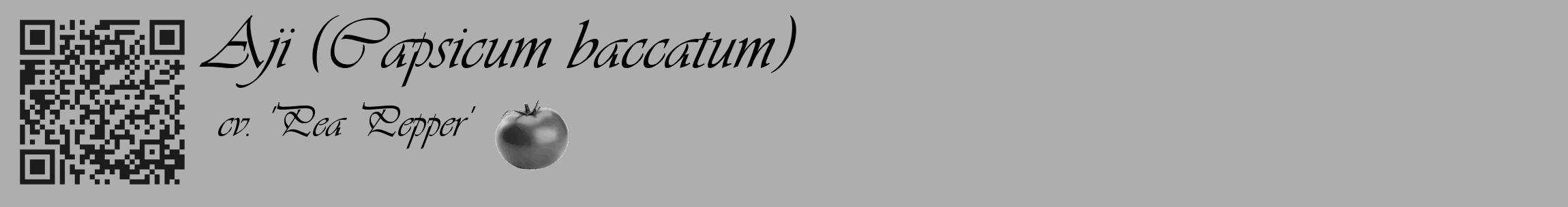 Étiquette de : Capsicum baccatum cv. 'Pea Pepper' - format c - style noire53_basique_basiqueviv avec qrcode et comestibilité simplifiée