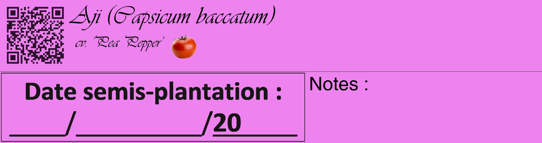 Étiquette de : Capsicum baccatum cv. 'Pea Pepper' - format c - style noire53_basique_basiqueviv avec qrcode et comestibilité simplifiée