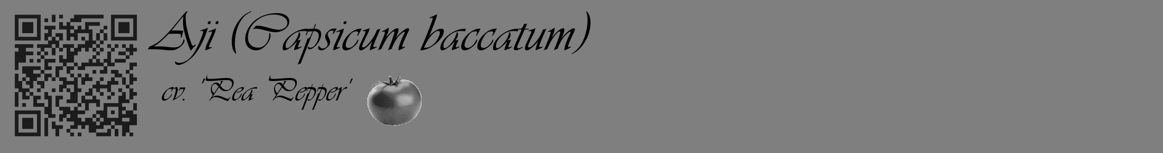 Étiquette de : Capsicum baccatum cv. 'Pea Pepper' - format c - style noire57_basique_basiqueviv avec qrcode et comestibilité simplifiée